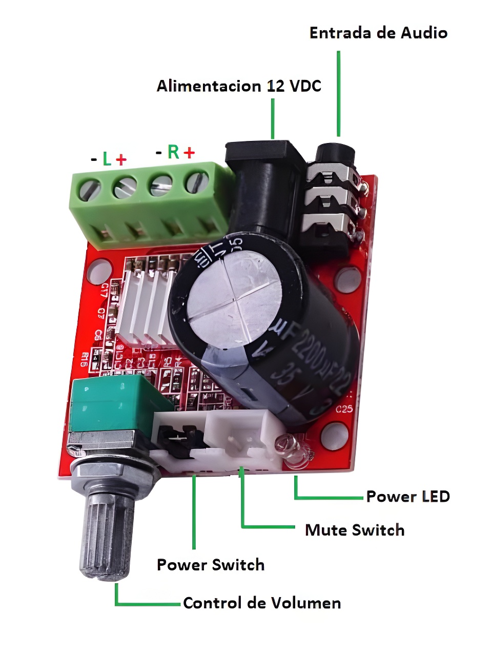 MÓDULO AMPLIFICADOR PAM8610 ESTÉREO CON CONTROL DE VOLUMEN - Imagen 3